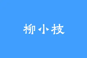 柳小枝