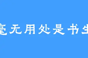 毫无用处是书生