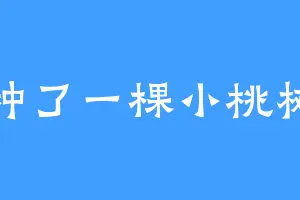 种了一棵小桃树