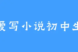 爱写小说初中生