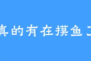 真的有在摸鱼了