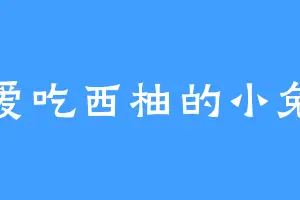爱吃西柚的小兔
