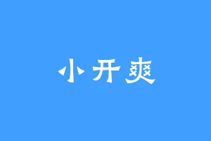 小开爽