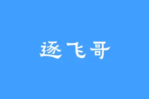 逐飞哥