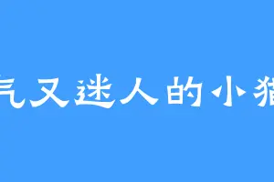 帅气又迷人的小猫味