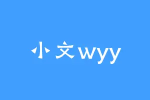 小文wyy