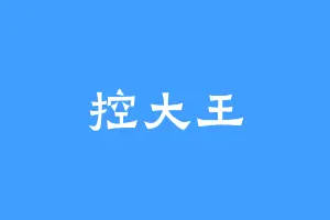 控大王